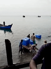 Midnight crate offloading at a Lhokseumawe fishing dock