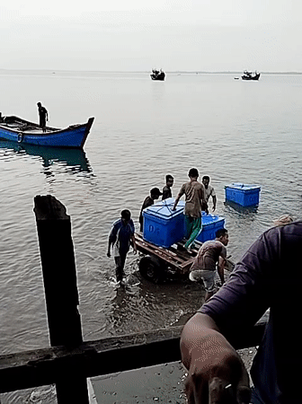 Midnight crate offloading at a Lhokseumawe fishing dock