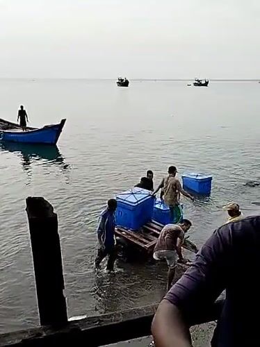 Midnight crate offloading at a Lhokseumawe fishing dock