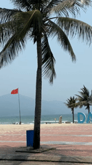Early morning beach scene captured at Da Nang sign