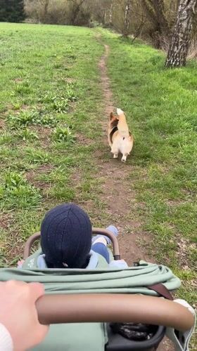 Woman enjoys afternoon outing with baby and dog in German field