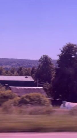 The video shows a side-view, motion-blurred landscape from a moving vehicle. The sky is a clear, light purple. In the foreground, blurred green and brown foliage is visible, suggesting a grassy or bushy area. Further back, the blurred shapes of trees with dark green or purple leaves dominate the middle ground. To the left, a portion of a building with a grey roof is visible. In the distance, more trees form a dark, blurred line, and beyond that, a faint outline of hills or mountains can be seen. A single, thin vertical pole, possibly a utility pole, is also visible as a blurred streak. The overall impression is of a rural or semi-rural setting viewed at speed on a clear day.