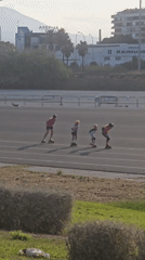 Rollerbladers cruise a palm-lined outdoor skate area in Málaga