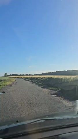 The video shows a point-of-view shot from inside a vehicle, looking out the windshield. A paved road curves to the left, bordered by a field of dry grass and a distant line of trees under a clear blue sky. The sun is visible as a bright glare in the upper right corner of the frame.
