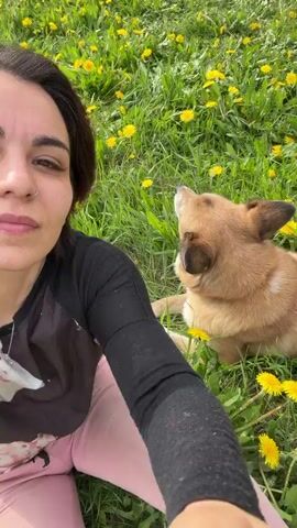 A woman and a dog are in a field of dandelions. The woman is taking a selfie and the dog is licking her face. The woman is smiling. The dog is a medium-sized, light brown dog with pointed ears. The woman has dark hair and is wearing a black long-sleeved shirt and pink pants. The environment is a sunny outdoor scene with green grass and yellow dandelions.