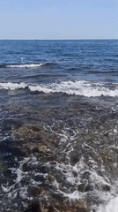 Summer morning on Molfetta's rocky Adriatic coast
