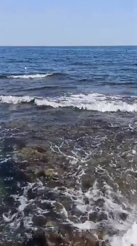 Summer morning on Molfetta's rocky Adriatic coast