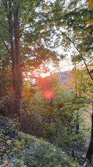 Sunset hiking and city views documented in Heidelberg