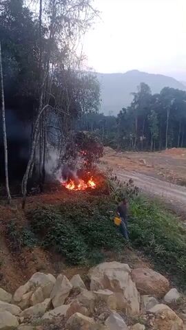 The video shows a person holding a yellow bucket near a small fire burning in vegetation. The fire is producing a significant amount of smoke. The person appears to be in a hilly, wooded area with a dirt road visible in the background. The sky is overcast, suggesting it may be early morning or late evening. The scene is captured from a slightly elevated position, looking down towards the fire and the person. Rocks are visible in the foreground.