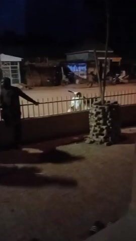 This video, filmed in Zongoma Kyari, Nigeria, appears to capture a nighttime scene in a semi-urban or rural area. The lighting is dim, suggesting it's dark outside, possibly late evening or night. The setting includes a street or pathway with a low wall and a fence.

Several people are visible. In the foreground, two individuals are seated on the ground, partially obscured by shadow. Further back, near the fence, a group of people stand. One person leans on the fence, while others are less distinct. A goat or similar animal is also visible near the fence. In the background, there are some structures that look like buildings or market stalls, with some lights illuminating parts of them. The overall impression is of a community gathering or people socializing outdoors in the evening.

The activity seems to be a casual social gathering. People are standing and conversing, while others are resting. There are no obvious signs of distress or urgency, suggesting a peaceful atmosphere. The presence of a goat hints at a possibly rural or semi-rural environment where livestock might be common.

Notable details include the time of day (night), the presence of multiple people in a shared space, and the general ambiance of a community interacting. The ground appears to be dirt or unpaved. No visible text is present in the video.