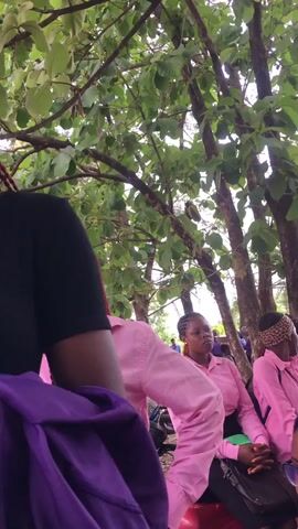 The video shows a group of young women, likely students, gathered outdoors. They are wearing pink shirts, which suggests a uniform or coordinated attire. The women are under the shade of trees with green leaves. Some are seated, while others are standing. There is an individual in the foreground wearing a black shirt and holding a purple garment. The camera moves and focuses on various members of the group. The setting appears to be a campus or school ground.