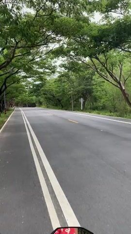 The video shows a first-person perspective of someone riding a motorcycle on a paved road. The road is lined with trees and vegetation on both sides. The road has double white lines in the center and a yellow line on the right edge. The sky is overcast. In the rearview mirror, a person wearing red shorts with a white pattern is visible. The motorcycle has a digital display in the foreground. The scene appears to be in a rural or natural setting.