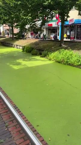 A slow-moving drone shot pans across a narrow, brick-lined canal in an urban environment. The canal's surface is completely covered in a thick layer of bright green algae, obscuring the water beneath. The canal is bordered on the left by a brick sidewalk with a metal railing and on the right by a grassy bank. Beyond the grassy bank are trees with full green canopies, casting shadows on the canal. Behind the trees, buildings with storefronts are visible, and several people are walking or sitting on the opposite bank. The sky is overcast, and the overall lighting is subdued. The scene appears tranquil and somewhat overgrown.