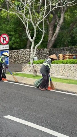 Two individuals wearing traditional Asian hats and gray work outfits sweep a road along the curb, near a sign with an image of a "no parking" symbol, and the hours 11:00-18:00. Both are working on the left side of the road; the one nearest the camera is sweeping from right to left, while the person behind is sweeping from left to right. Each has a large green bag beside them. The environment consists of green vegetation and a stone wall behind the sign, with a tree branch forming a focal point. The sky is overcast.