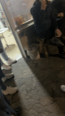 Evening social gathering documented in Startsevo, Bulgaria