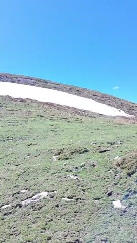 The video shows a mountainside on a sunny day.  The foreground is dominated by green and brown grass and rocks. Patches of snow are visible on the slope of the mountain that rises in the background. One person wearing a dark jacket and carrying a backpack walks across the frame from right to left.  The video then pans up, revealing a taller mountain further in the background, also with patches of snow. The sky is clear and bright blue. The wind is blowing causing distortion in the audio.