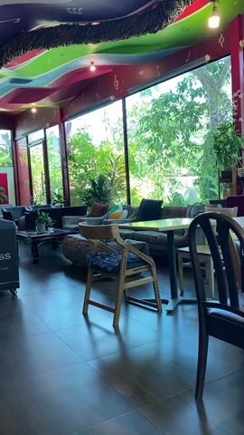 This media file showcases the interior of a brightly decorated cafe with large windows offering a view of lush greenery. The ceiling is a vibrant display of colorful wavy lines and musical notes. The furniture is a mix of wooden chairs with dark upholstery and a long, low sofa with colorful cushions. Tables are set, some with glasses and napkins, suggesting a dining or gathering space. The scene appears to be an indoor seating area of a cafe or restaurant. The large windows indicate daytime, with natural light flooding the space. The abundant plant life visible outside suggests a tropical location, consistent with Bang Sare, Thailand. The overall atmosphere seems relaxed and inviting, with a touch of artistic flair from the ceiling decoration. There is no visible text in the media file.