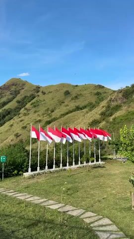 The video presents a serene daytime landscape featuring a grassy field with a pathway leading to a row of nine Indonesian flags waving gently in the wind. Behind the flags rises a green, grassy hill dotted with trees and shrubbery under a clear blue sky with scattered clouds. The scene is framed by a grassy area with vegetation on either side, creating a natural, picturesque view.