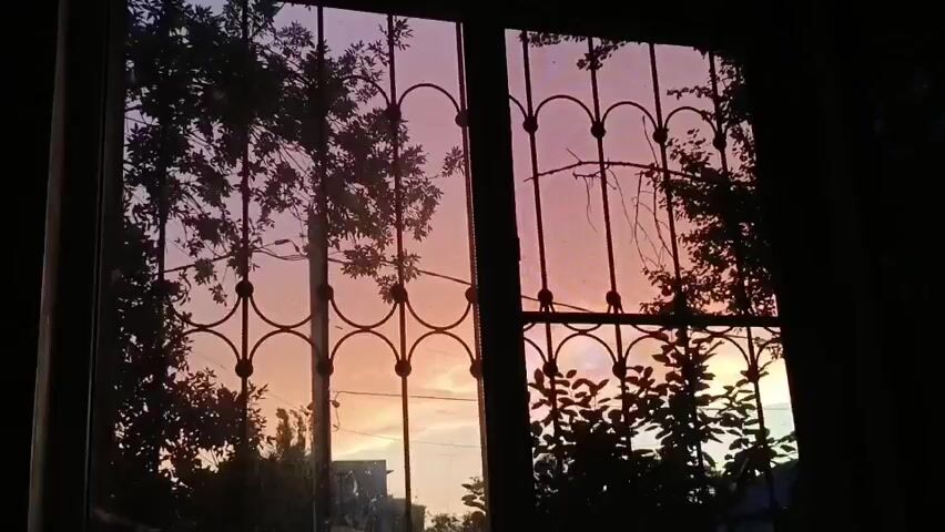 The video shows a view through a barred window at sunset. The sky is a gradient of pink and orange. Silhouetted trees and branches are visible against the sky.