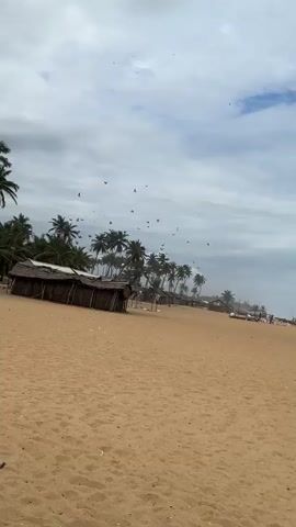 The video opens with a wide shot of a sandy beach under a cloudy sky. Palm trees line the background, and a small, thatched-roof structure is visible on the left. In the distance, a few more structures and people can be seen. As the camera pans to the right, the beach continues, with a line of wooden fencing in the foreground. More people are scattered along the beach, some gathered near the water. The camera then focuses on a group of individuals wearing white robes and head coverings, standing behind the wooden fence. They appear to be facing the ocean. A blue-roofed structure is visible behind them. The video ends with a closer shot of these individuals, highlighting their white attire against the sandy beach and the sea in the background.