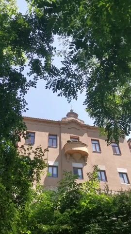A low-angle shot looking up at a building with large trees in the foreground framing the view. The building is a light brown color with multiple windows and a small balcony. The sky is visible through the branches of the trees.