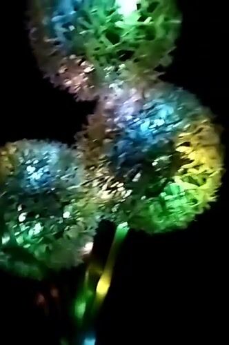 Home garden, decorative lights, and everyday life in Qonaev