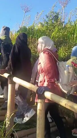 The video shows a group of people walking up a bamboo staircase. The stairs are made of bamboo poles tied together. The people are wearing casual clothes, and some of them have backpacks. The sky is blue, and there are some plants and trees in the background. The video is shot from a low angle, looking up at the stairs and the people.