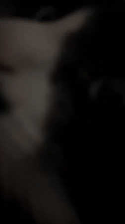 Woman's quiet evening moments captured with cat in Noviy