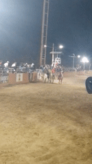 Nighttime rodeo features bull riding and steer roping events