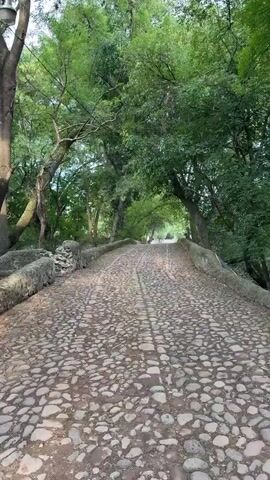 The video shows a stone bridge surrounded by trees. The road is cobblestone. A person walks into view, holding something that appears to be a gun and pointing it to the side.