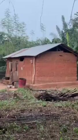 A small, single-story house constructed of reddish-brown brick sits amidst lush greenery and under a cloudy sky. The house has a corrugated metal roof and a simple wooden door. A red metal barrel is near the front of the house. In front of the house, on a dirt area, a person sits tending a small fire. Other items, possibly clothes or blankets, are scattered nearby. The area surrounding the house is overgrown with low vegetation and scattered wood debris. Tall trees and plants form a dense backdrop.
