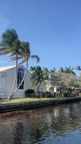 The video shows a view from a boat moving down a canal. On the left, there is a white building with a tall, narrow window and palm trees. The canal is lined with a walkway, a fence, and lush vegetation including more palm trees and a large, leafy tree. Further down the canal, a white bridge is visible. The water is dark and reflective, with ripples from the boat's movement. The sky is a clear, bright blue. The scene appears to be a waterfront residential or commercial area.