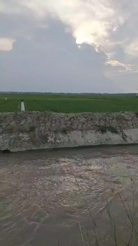 The video shows a muddy canal with a fast-flowing river. The river bank is reinforced with stones and concrete. Beyond the river bank, there is a green field with some pipes and a white structure. The sky is cloudy with the sun peeking through.