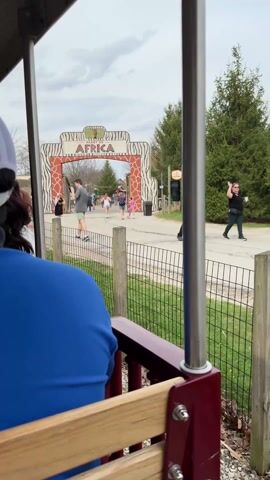 The video shows a train ride at a zoo. The first shot shows a view of an “Africa” themed entrance. The train is open-air and filled with passengers. Subsequent shots show the passengers’ perspective as the train moves. The passengers seem to be a mix of children and adults, and a few of their faces can be seen. The train passes a “booth photos” area, indicating that this might be a souvenir photo opportunity. The environment is park-like with trees and fences.
