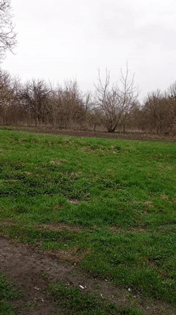 Rural water well documented in Ukrainian countryside field