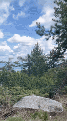 Nature walk documented in Bistritsa Bulgaria forests and streams