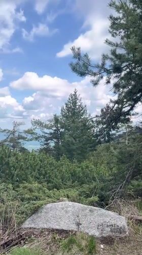 Nature walk documented in Bistritsa Bulgaria forests and streams