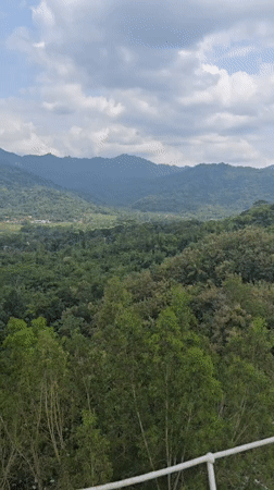 Valley panorama captured in Kembanglimus showing lush landscape