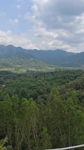 Valley panorama captured in Kembanglimus showing lush landscape
