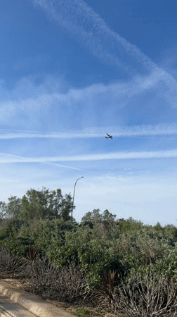 Small aircraft spotted over Palma de Mallorca pedestrian area