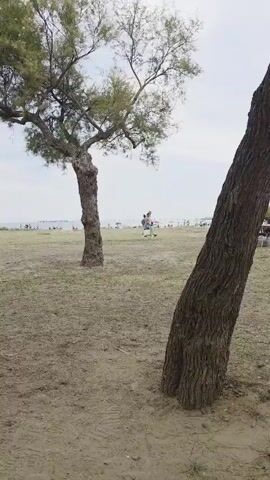 The camera pans from behind a tree across a grassy area towards a beach. In the distance, there are rows of dark structures in the water. Closer to the camera, people are sitting in beach chairs under umbrellas. A girl in a red shirt and blue shorts stands under a blue umbrella near the water.
