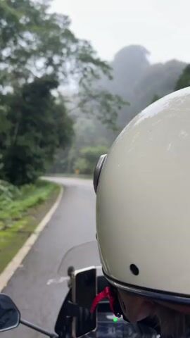 A first-person perspective video shows a person riding a motorcycle on a wet, winding road through a lush green forest. The rider is wearing a white helmet. The road is paved with yellow lines on the left and a white line on the right. The trees on either side of the road are dense and green, with some mist visible in the distance. A smartphone is mounted on the handlebars, and a digital display on the motorcycle shows a speed of 38 km/h. The weather appears to be rainy or damp.