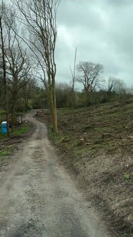 A car drives down a dirt road through a deforested area on an overcast day. Stumps and fallen branches cover the cleared land on the right side of the road. Trees with bare branches line both sides of the road, and a portable toilet stands near a pile of logs on the left. The camera captures the scene from inside the moving vehicle.