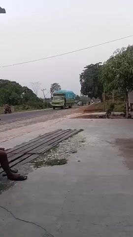 A truck covered with a blue tarp drives down a paved road. There are trees and foliage on either side of the road. A person sits on a wooden bench in the foreground.