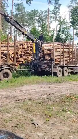 A logging truck is parked on a dirt road in a forest. The truck is loaded with logs, and a crane is attached to the back of the truck, with a person operating it. The crane is in the process of loading more logs onto the truck. The surrounding area is a forest with many trees and fallen logs. The ground is covered in dirt and grass. The weather appears to be cloudy.