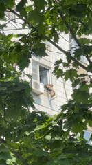 Moscow resident documents quiet street scenes and buildings