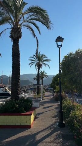 The video shows a pedestrian walkway lined with palm trees, a lamppost, and lush greenery. In the background, a harbor with boats and mountains can be seen under a clear blue sky. The sun casts long shadows on the brick-paved walkway, indicating it is likely late afternoon or early morning. The overall atmosphere is serene and tropical.