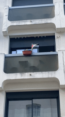 Parisian apartment building observed with closed shutters during daytime