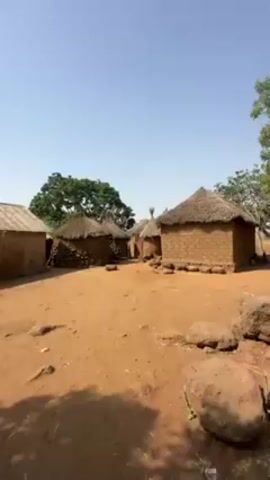 The video shows a view of a small village with traditional mud houses and thatched roofs. The ground is reddish-brown and dry. There are some trees scattered around the area and a clear blue sky above. The houses are simple, rectangular or round structures made of mud bricks with thatched roofs. The camera is static and the scene is peaceful.