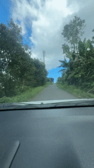 Car drives through lush green landscape in Banjar, Indonesia